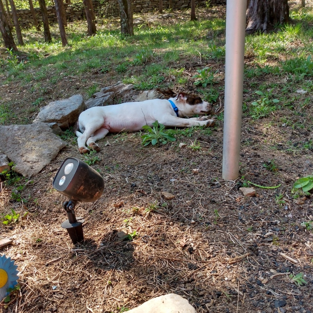 Meet your Posher, Julie